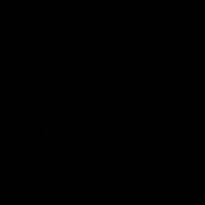 Meet your Posher, Ami